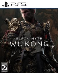 Black Myth: Wukong Cover